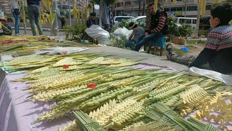 اخد السعف اة اخد الشعانين