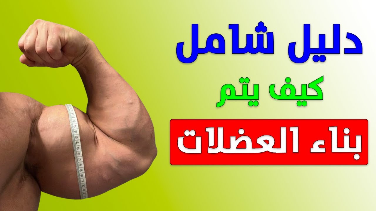 كيفية بناء العضلات للمبتدئين